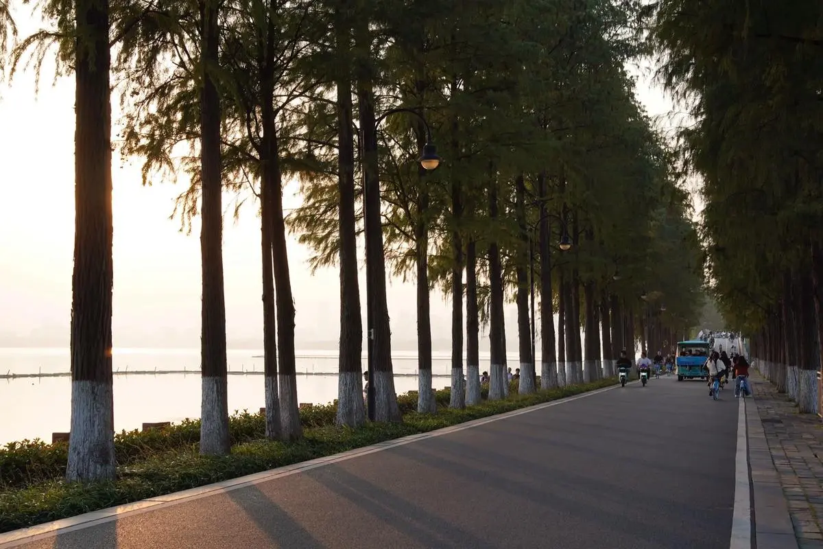 Golden autumn foliage at East Lake in Wuhan — the best season to visit the city