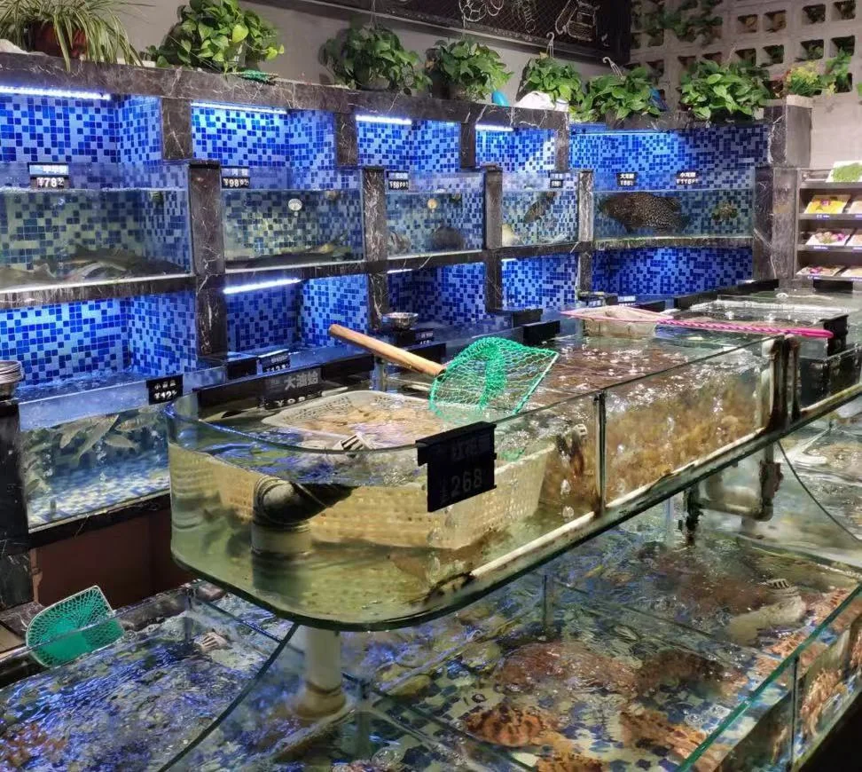 A restaurant seafood tank with live fish in tiered glass enclosures, nets and price labels