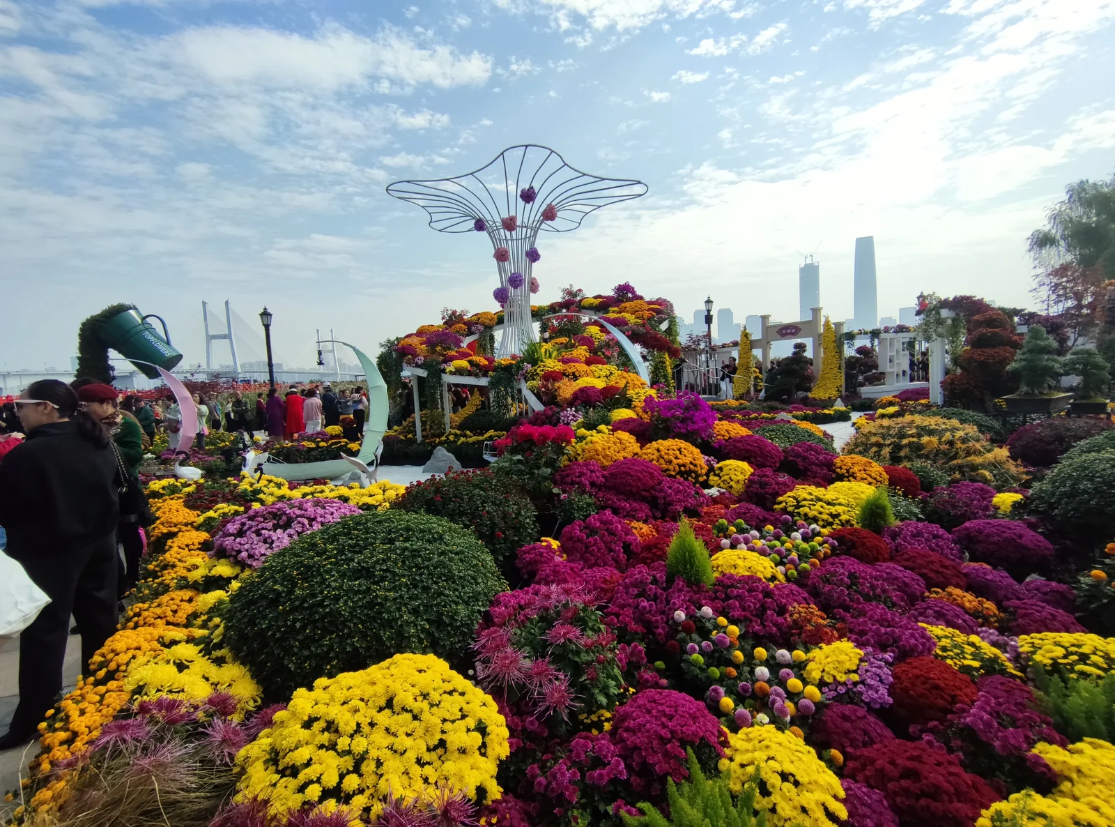 Potted chrysanthemums in yellow, magenta, purple and orange covering a riverside terrace, with a wire flower sculpture above them and a cable-stayed bridge behind