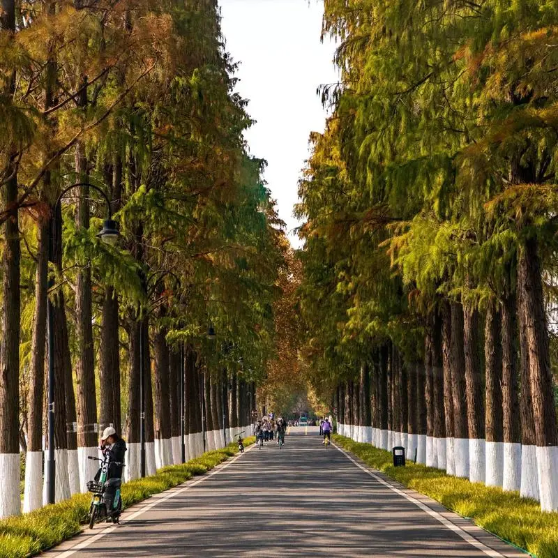 East Lake greenery in Wuhan — peaceful lakeside area ideal for family-friendly accommodation