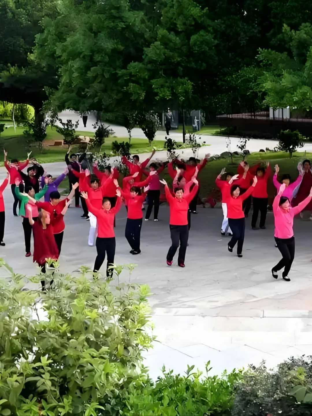 Morning square dancing group in a Wuhan park with dozens of participants following along to music from a portable speaker