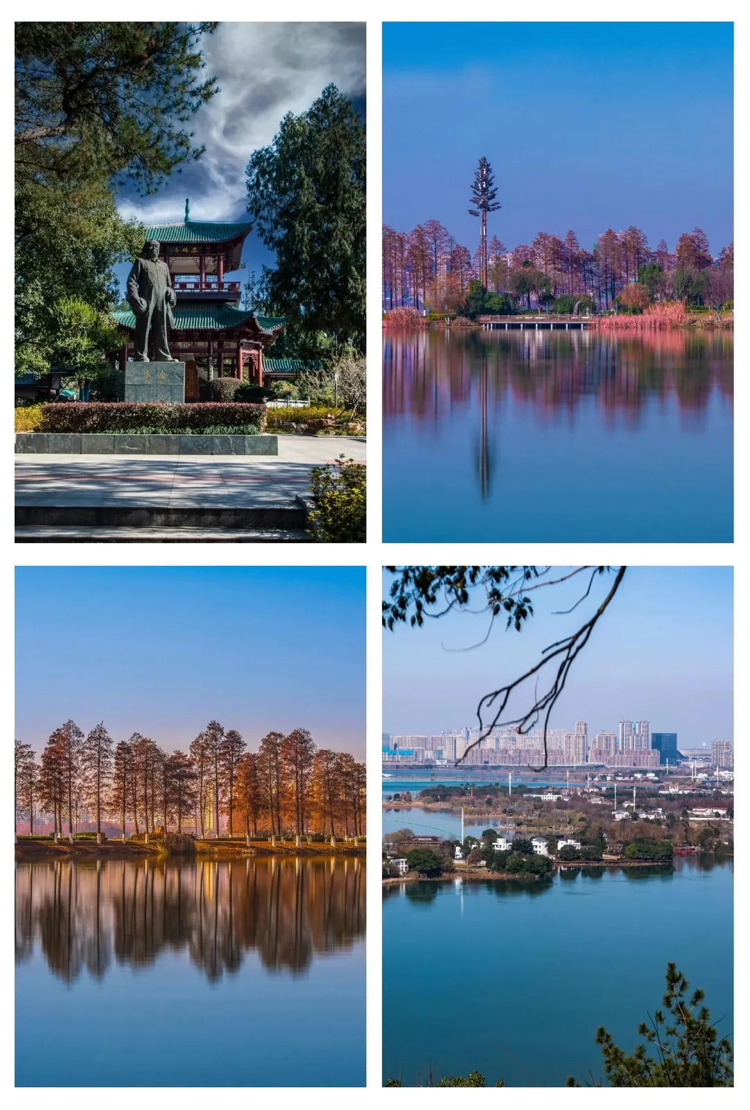 Vibrant seasonal flowers of Wuhan, showing blooming trees and garden scenes that represent the city's year-round floral beauty