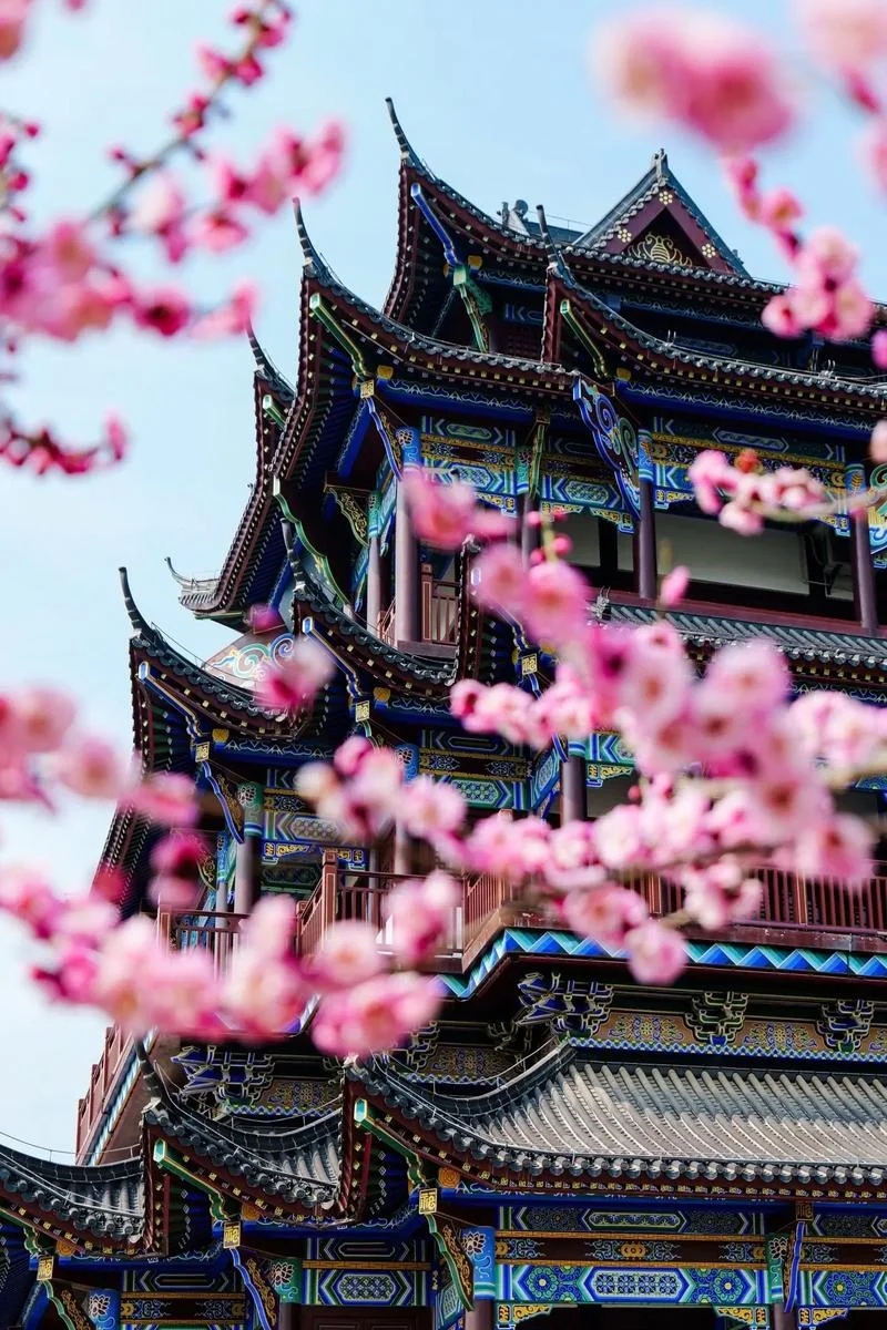 Delicate pink plum blossoms blooming in winter at East Lake, against a grey sky, capturing Wuhan's first flowers of the year