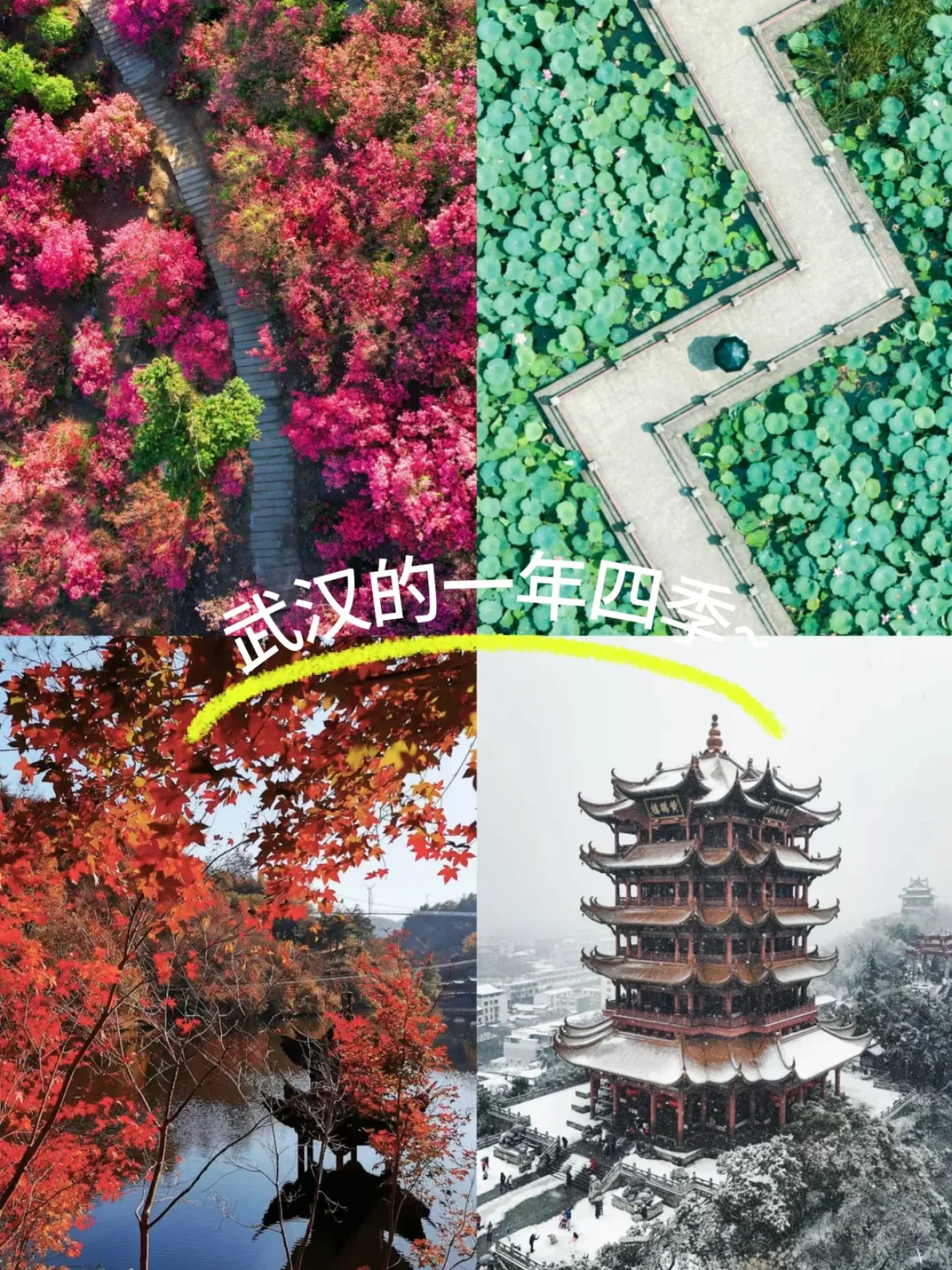 Wuhan Through the Lens: What to Photograph in Every Season