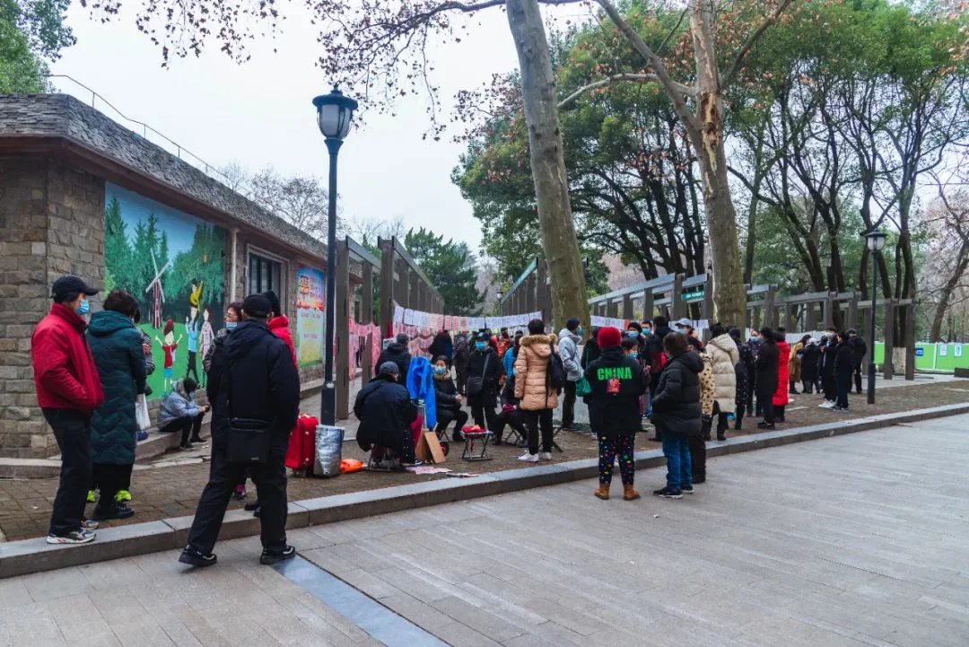 Wide shot of Wuhan People's Park marriage market with dozens of A4 resumes pinned to trees and spread on benches