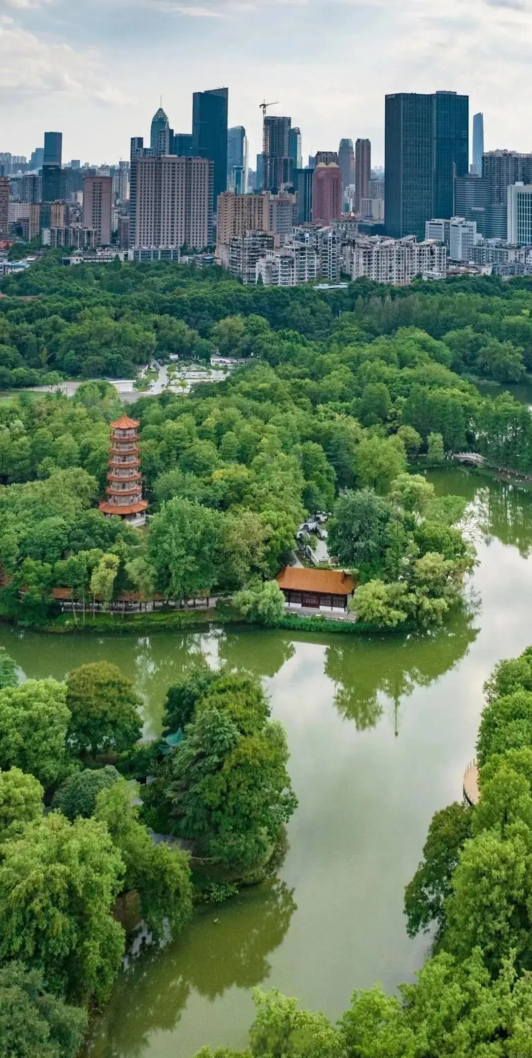 People dancing and exercising in a plaza at Jiefang Park in Hankou, Wuhan, surrounded by trees and benches