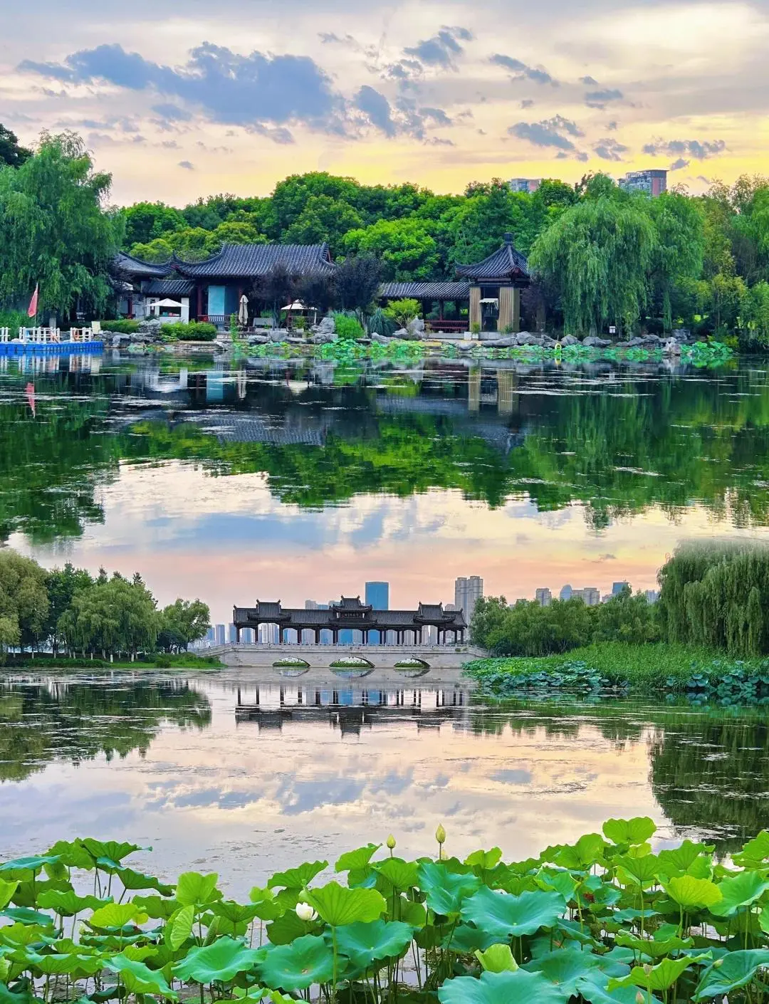 Quiet bench under a willow tree by Shahu Lake in Wuhan, with the lake surface reflecting the sky and trees