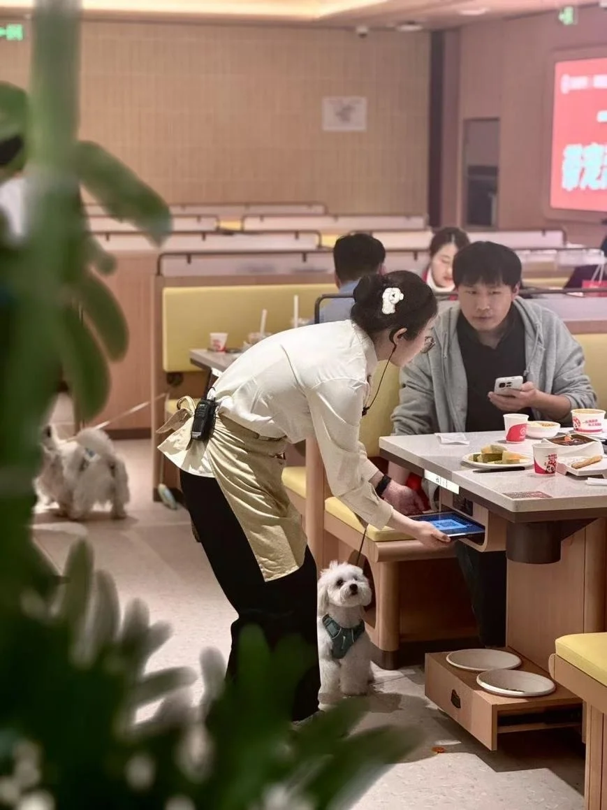 A Wuhan pet-friendly restaurant or café with outdoor seating where a dog rests beside its owner's table, chin on paws, as locals dine casually around them