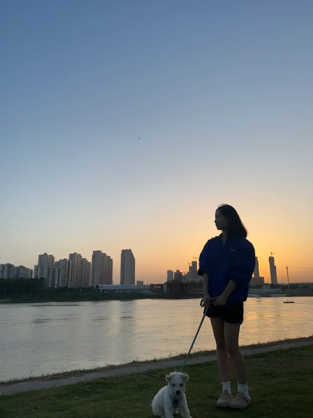 Summer in Wuhan: an early evening scene where dog owners flood the riverside after sunset, dogs wearing cooling vests or carrying water bottles, the only safe time to be outside with pets during the brutal heat