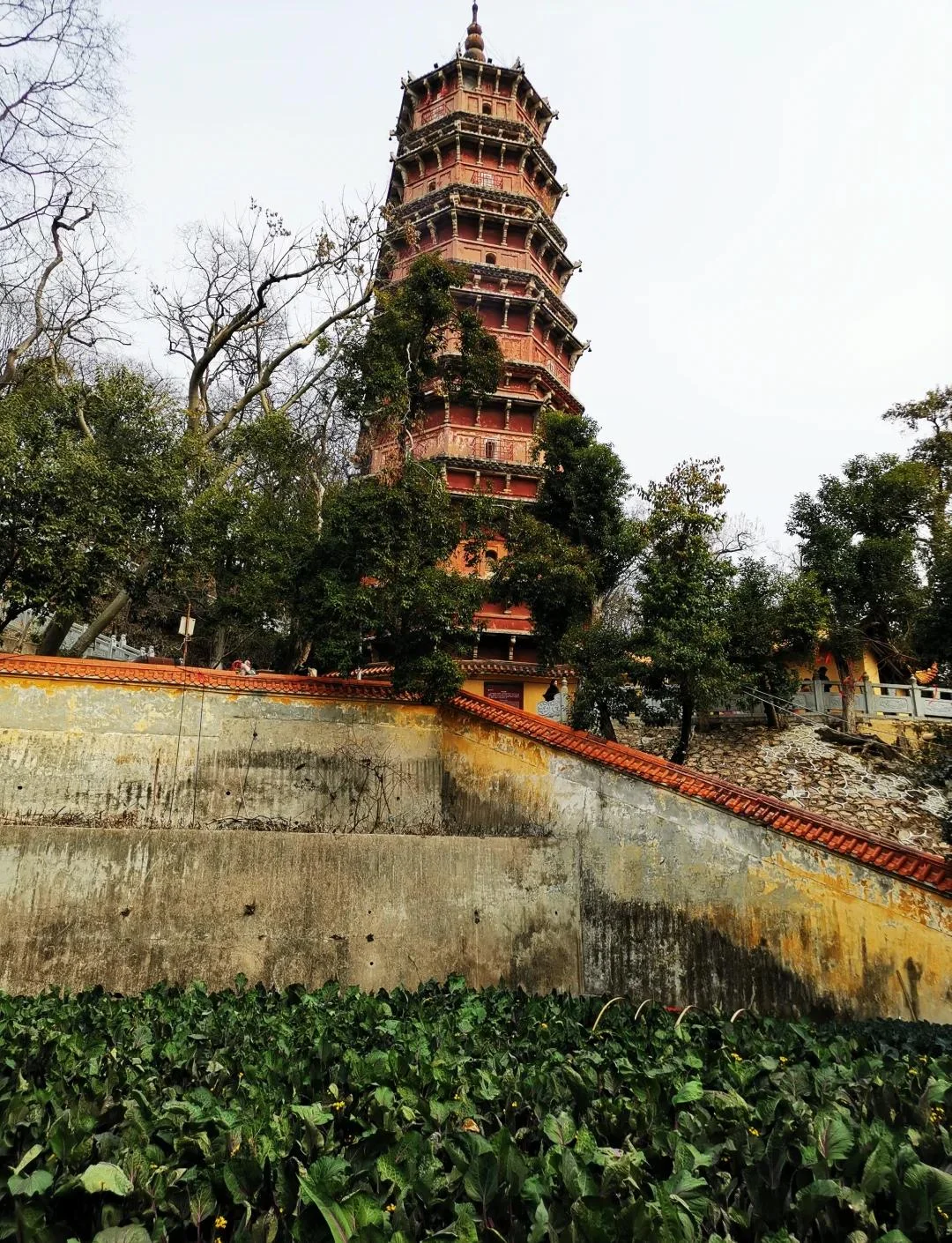 A temple courtyard at Baotong Temple or another Wuhan Buddhist temple, with monks walking or meditating, cypress trees and ancient walls creating a peaceful environment strikingly different from the surrounding modern city