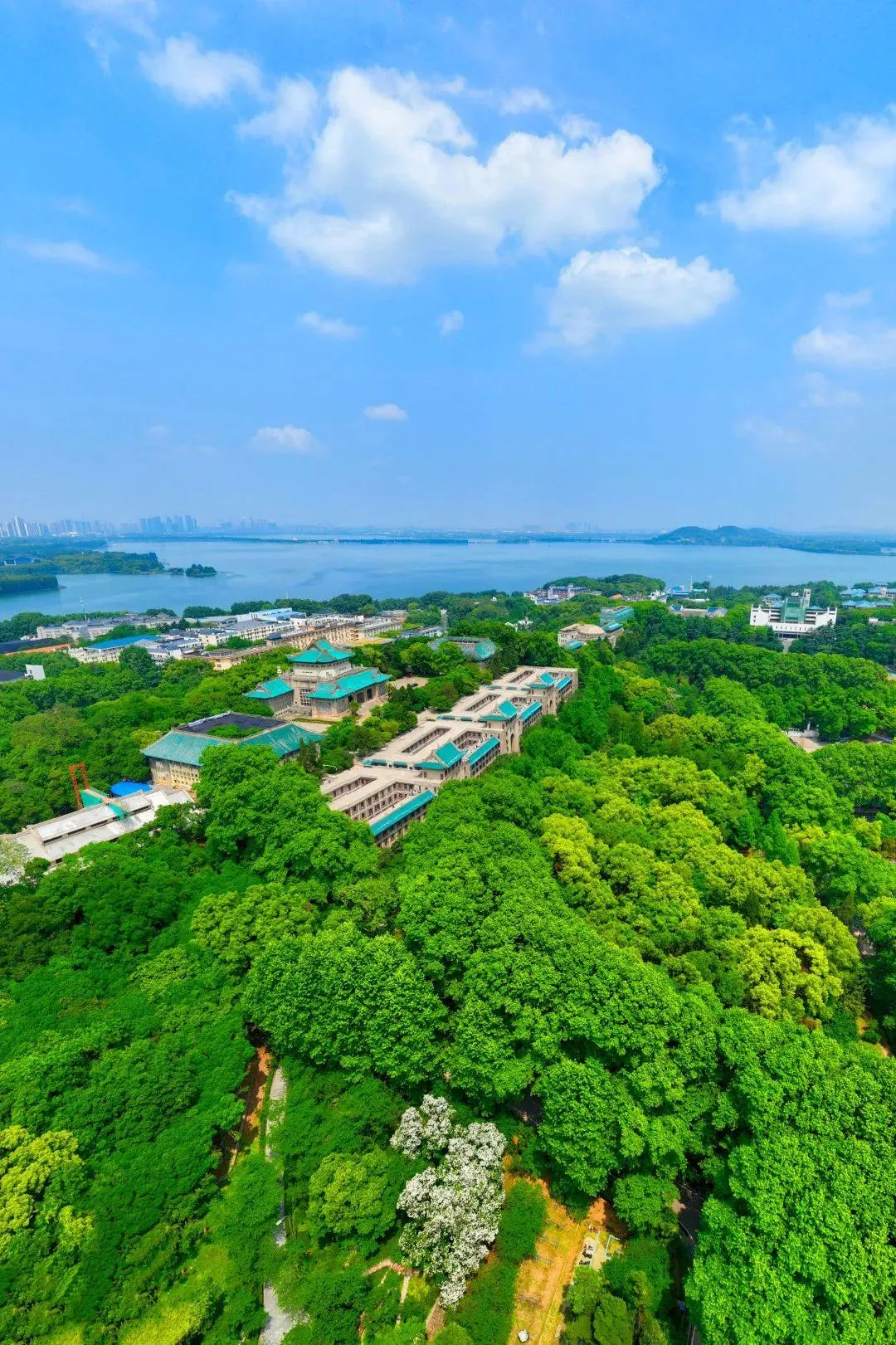 Panoramic view of Wuhan's university district in Wuchang, showing dense campus buildings, Luojia Hill, and East Lake in the background