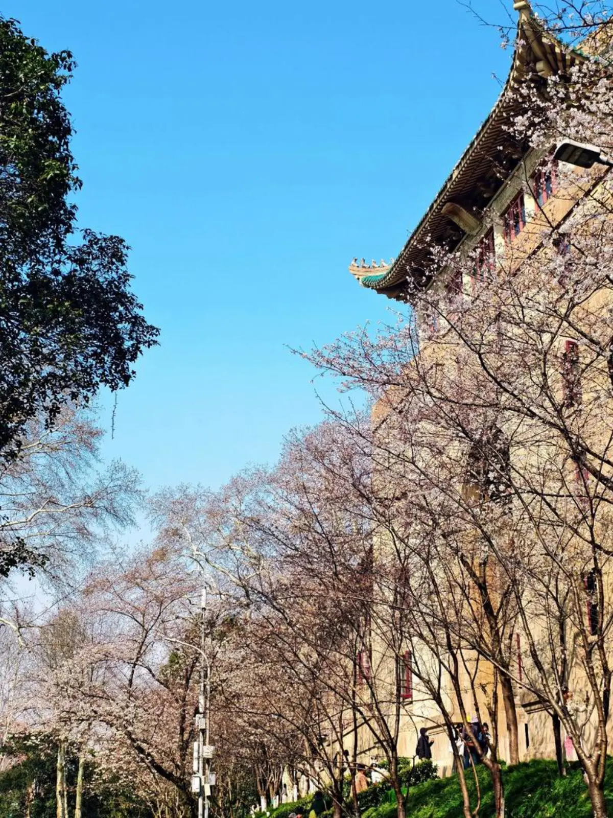 Old Library of Wuhan University with green glazed-tile roof and stone steps, 1930s Chinese Renaissance architecture
