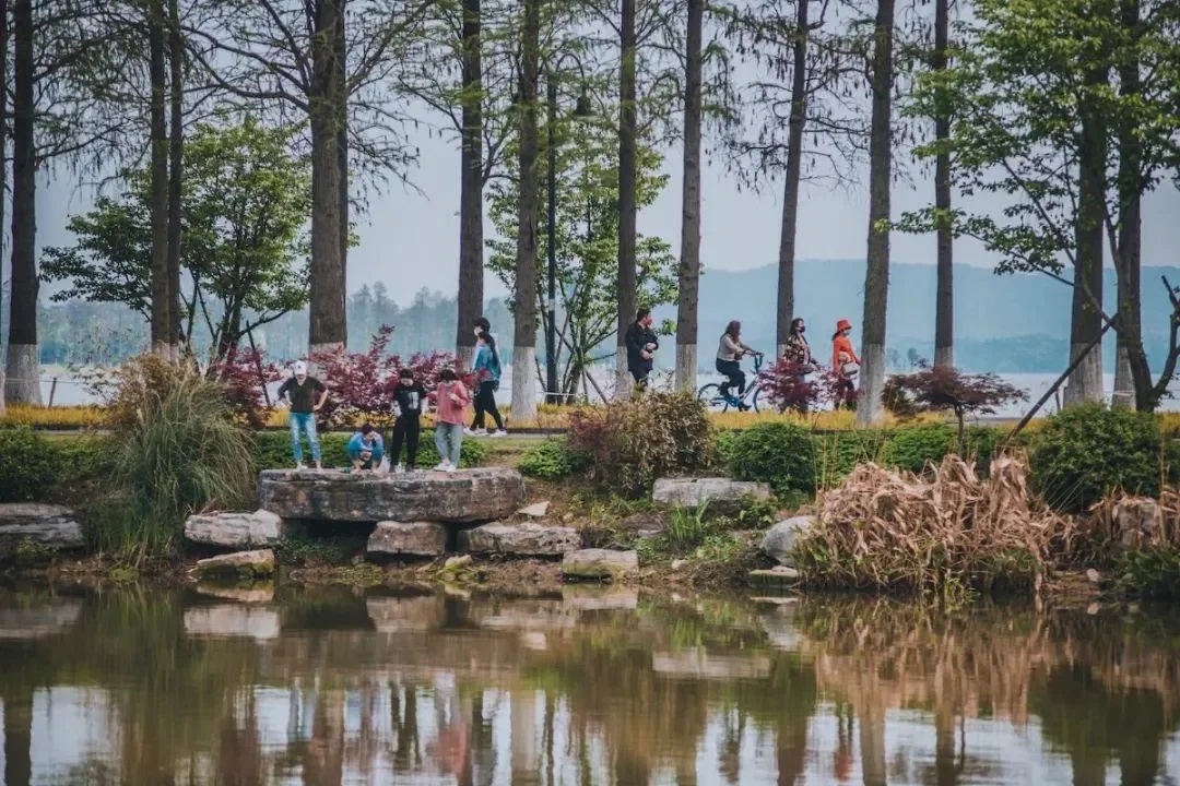 A lakeside park path with adults and children walking, a cyclist in a red helmet on the path behind them, white-trunked trees, red-leafed shrubs and a pond in the foreground, hills across the water