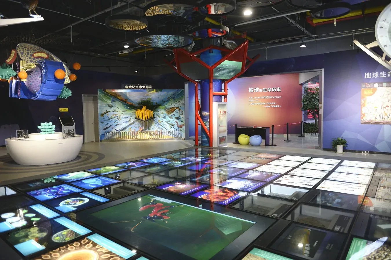 A dark science museum hall with a suspended model of a prehistoric marine animal overhead, a wall panel on the history of life on Earth, and a grid of illuminated interactive touchscreen panels built into the floor