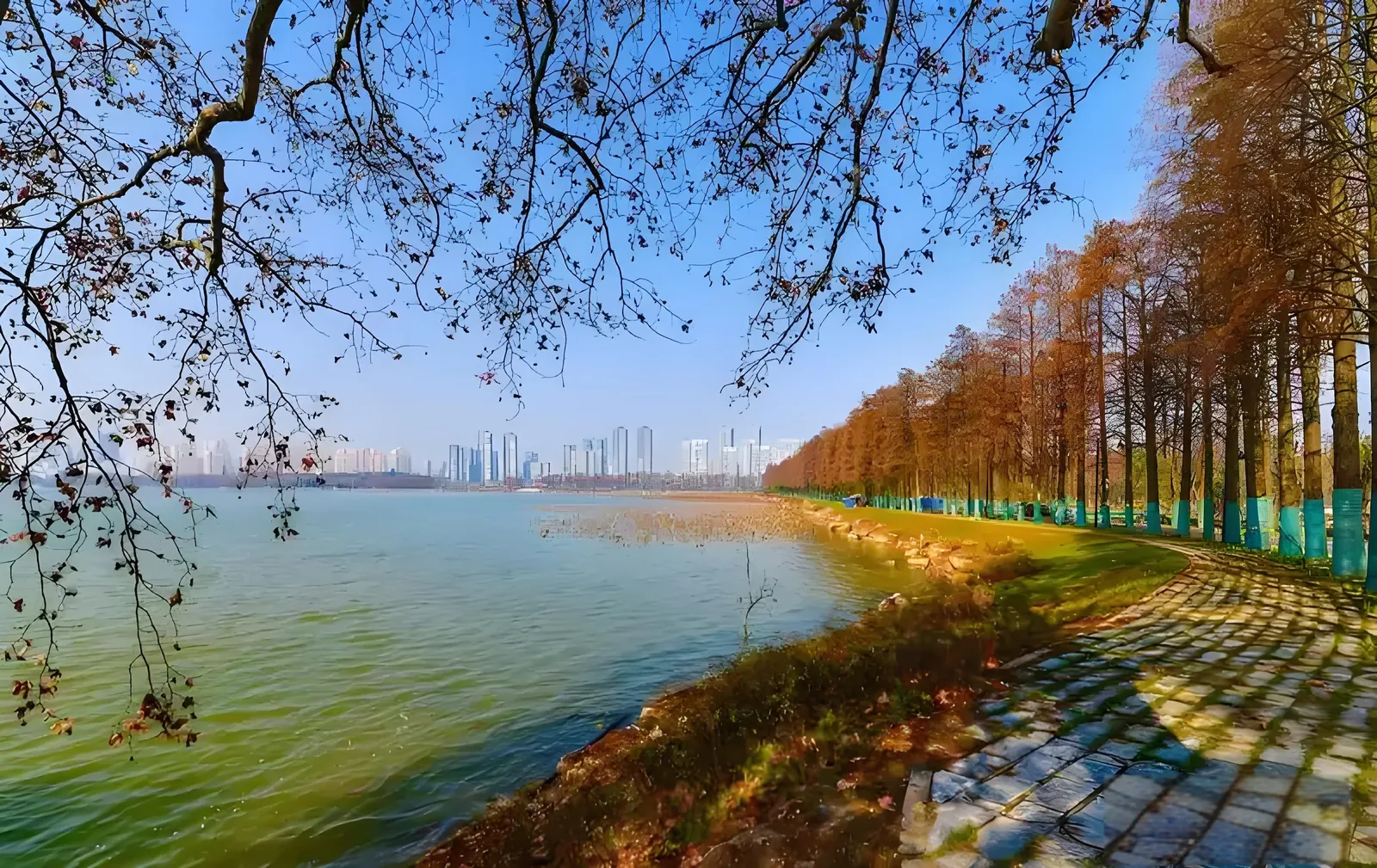 East Lake greenway in Wuhan with cyclists riding along the lakeside path on a sunny weekend, trees framing the water